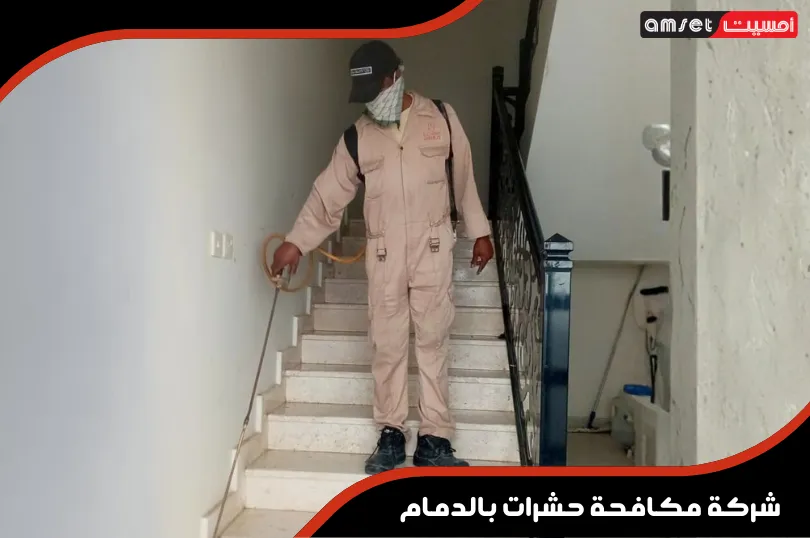 شركة مكافحة حشرات بالدمام