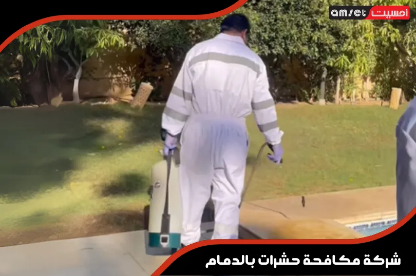 شركة مكافحة حشرات بالدمام
