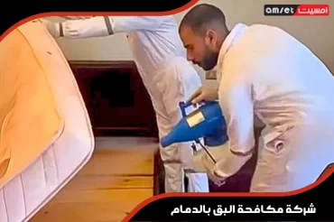 شركة مكافحة البق بالدمام شركة مكافحة البق بالدمام