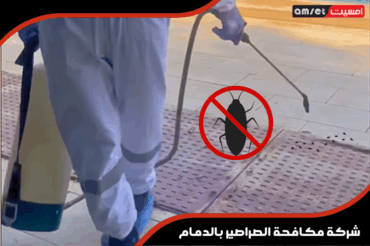 شركة مكافحة الصراصير بالدمام شركة مكافحة الصراصير بالدمام