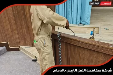 شركة مكافحة النمل الابيض بالدمام شركة مكافحة النمل الابيض بالدمام