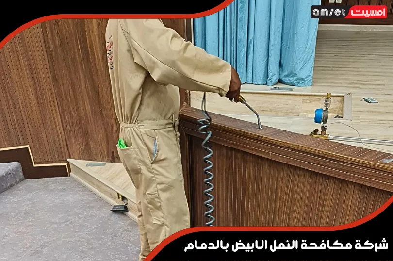 شركة مكافحة النمل الابيض بالدمام
