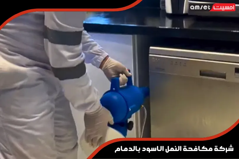 شركة مكافحة النمل الاسود بالدمام