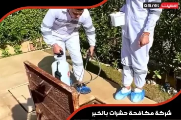 شركة مكافحة حشرات بالخبر شركة مكافحة حشرات بالخبر