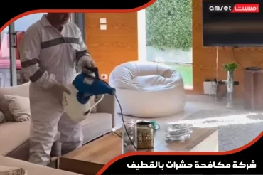 شركة مكافحة حشرات بالقطيف شركة مكافحة حشرات بالقطيف
