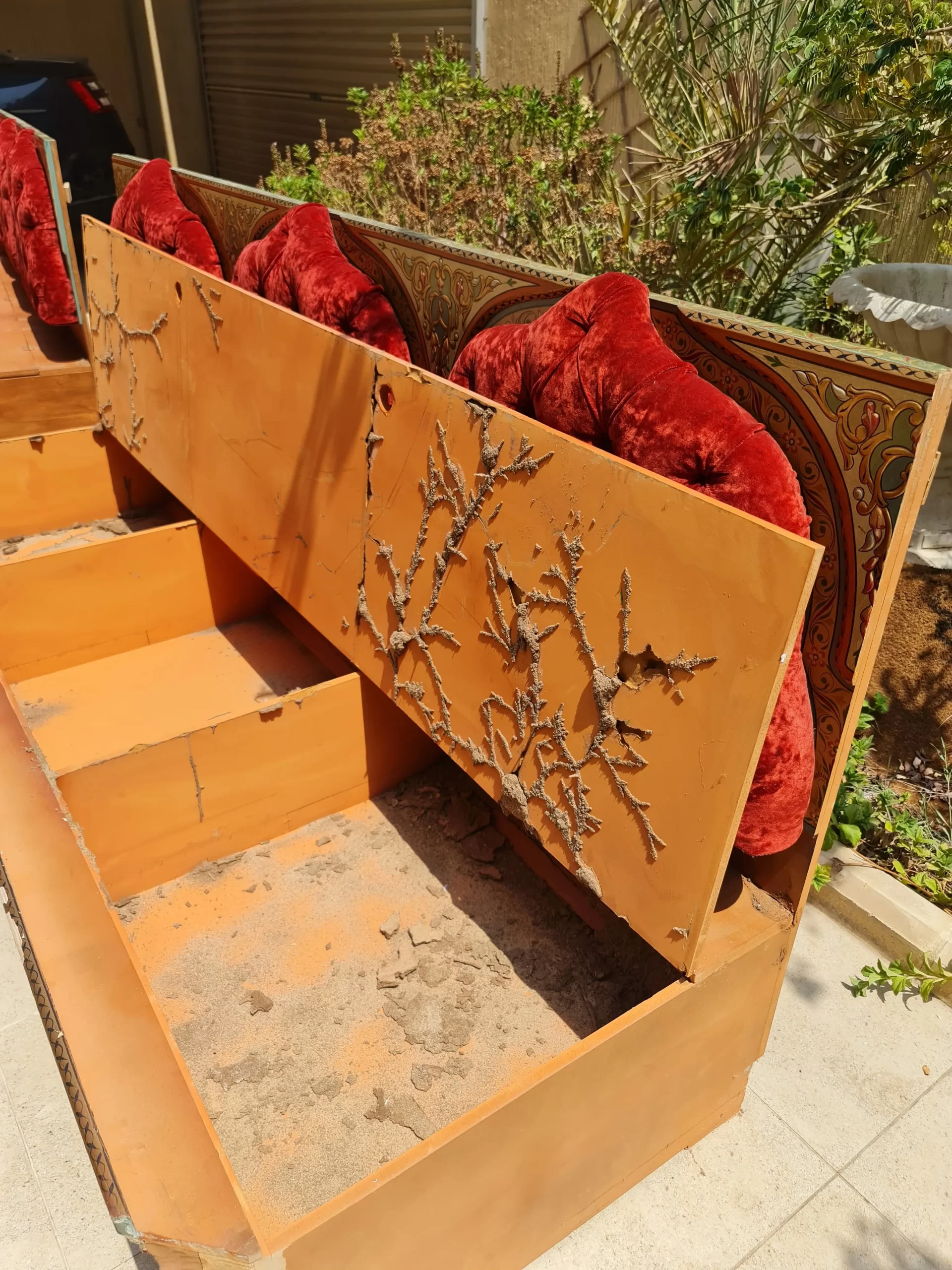 مكافحة النمل الأبيض قبل وبعد البناء