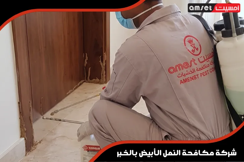 شركة مكافحة النمل الأبيض بالخبر
