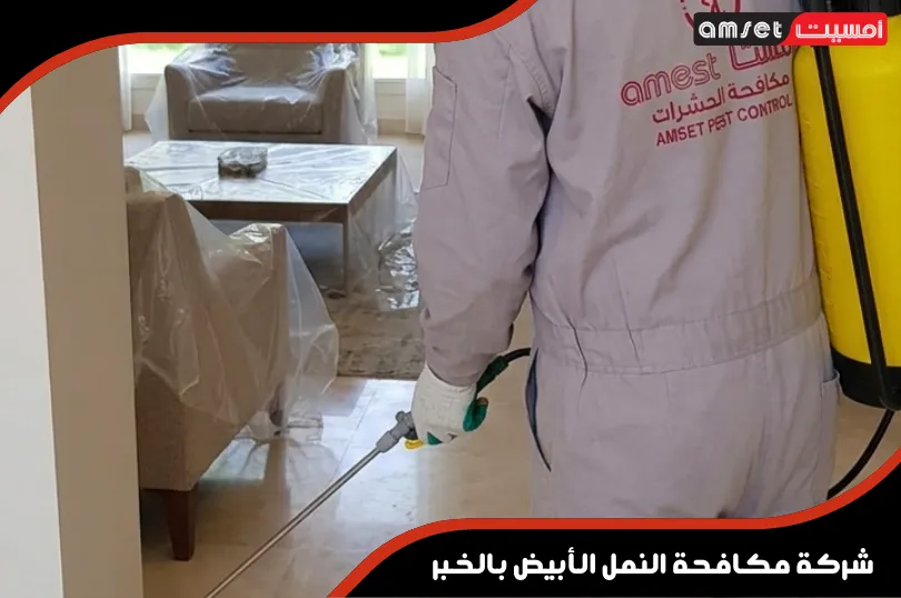 شركة مكافحة الأرضة بالخبر