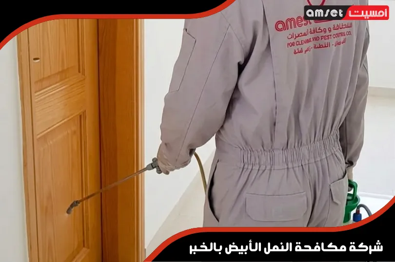 شركة مكافحة النمل الأبيض بالخبر
