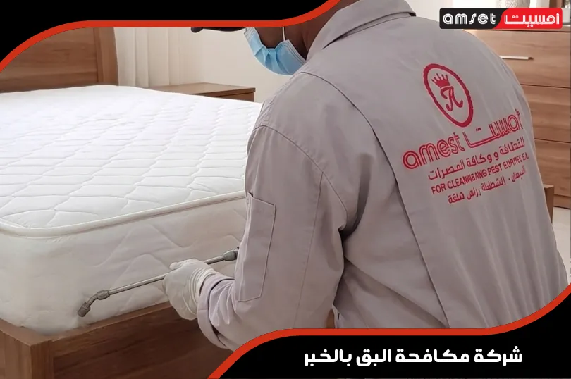 معالجة بق الفراش بالبخار الساخن والحرارة لتعقيم المفروشات معالجة بق الفراش بالبخار الساخن والحرارة لتعقيم المفروشات