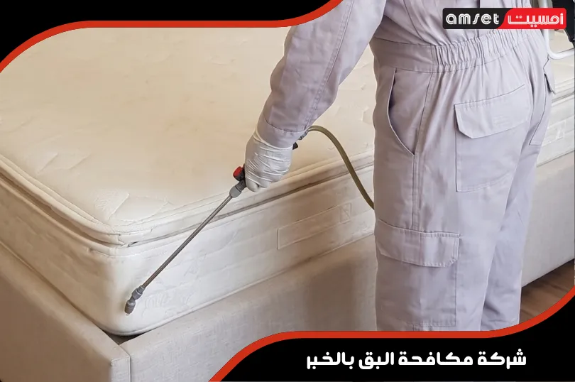 فريق عمل مدرب من شركة مكافحة آفات وحشرات بالخبر يرتدي معدات الوقاية فريق عمل مدرب من شركة مكافحة آفات وحشرات بالخبر يرتدي معدات الوقاية