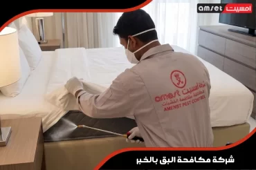 شركة مكافحة البق بالخبر شركة مكافحة البق بالخبر