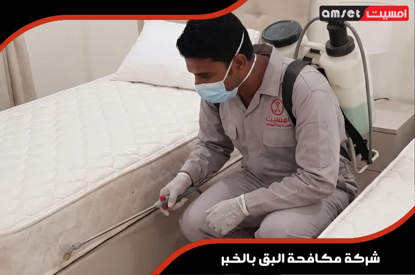 فني يقوم بعمليات رش البق الموجه في غرف النوم والشقق السكنية فني يقوم بعمليات رش البق الموجه في غرف النوم والشقق السكنية