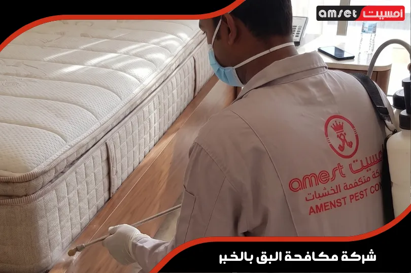 فحص شركة مكافحة البق بالخبر لعلامات وجود بق الفراش في المراتب وزوايا الأسرة بالخبر فحص شركة مكافحة البق بالخبر لعلامات وجود بق الفراش في المراتب وزوايا الأسرة بالخبر