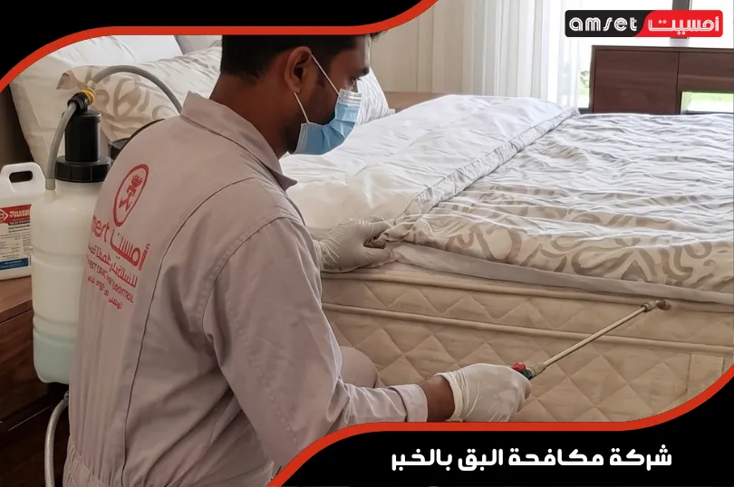 شركة مكافحة البق بالخبر - شركة أمسيت لإبادة بق الفراش بضمان معتمد شركة مكافحة البق بالخبر - شركة أمسيت لإبادة بق الفراش بضمان معتمد